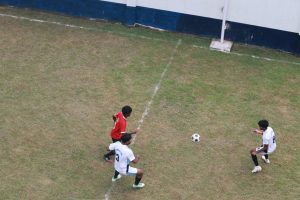 IMG 4803.JPG
